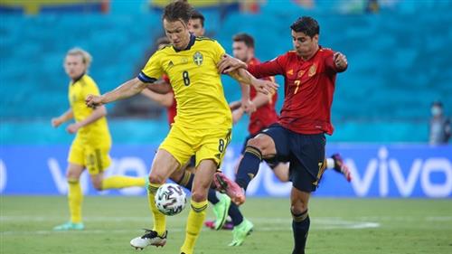 Ultimate Guide to Sport Betting Success